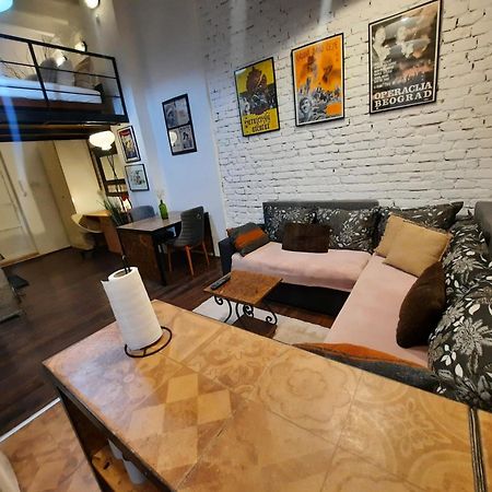 Apartamento Authentic Belgrade Centre - Split Level Loft With Patio In Courtyard Exterior foto
